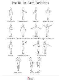 There are many different training programs that a dancer can follow on the road to becoming a professional dancer. Teaching Pre Ballet Arm Positions The Ballet Source Ballet Basics Ballet Arm Positions Ballet Lessons