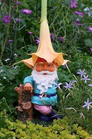 Super Cute Fairy Garden Gnomes Gnome Garden Funny Garden Gnomes