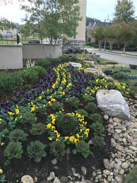 Fall Landscaping Front Entrance To A Subdivision Fall Landscaping Landscaping Entrance Front Yard Landscaping