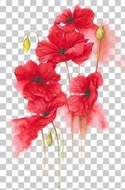 Orange Red Yellow Flower Watercolor Painting Hand Painted Red Flowers Illustration Red Petaled Flowers Pa Flower Illustration Flower Art Watercolor Flowers