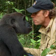 Profile for Stacy Whitehouse