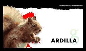 We did not find results for: Ardilla Caracteristicas Tipos Habitat Y Cuidados Pangea