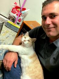 Cats watching drivers