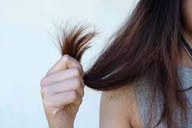 We did not find results for: How To Know If Your Hair Is Damaged According To The Experts