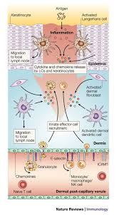 Pin On Pathophysiology