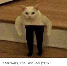 Pin By Victoria On An Assortment Of Funnies Star Wars Humor Star Wars Memes Funny Pictures