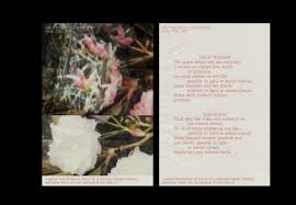 Get inspired by these beautiful pastel color schemes and make something cool! Poetic Pastel Press Was Founded In London In 2015 By The Painter And Interdisciplinary Artist Johanna Tagada Hoffbeck Poetic Pastel Press Through Collaborations Conceptualises Designs And