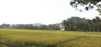 Mar 21, 2020 · pada gambar pertama ini, anda akan melihat sebuah lukisan yang sangat indah yang menggambarkan pemandangan pedesaan khas di indonesia. Hal Di Desa Yang Jarang Ada Di Kota