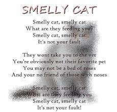 smelly cat lyrics from friends friends moments friends tv friends quotes