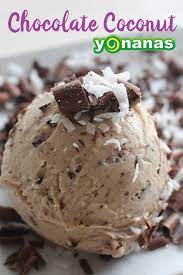 Chocolate Coconut Yonanas Yonanas North America Recipe Yonanas Recipes Chocolate Yonanas Recipe Dessert Bullet Recipes