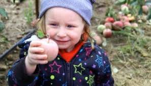 Oswego County TodayPulaski Middle School Students Visit Local Orchard
