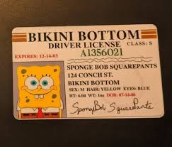 Spongebob, kartun ciptaan stephen hillenberg ini dirancang untuk usia dua sampai sebelas tahun. Spongebob Square Pants Boating License Bikini Bottom Dmv Etsy