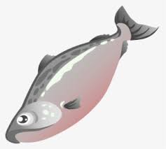 Transparent Salmon Png Grilled Salmon Png Png Download Kindpng Here you can explore hq salmon transparent illustrations, icons and clipart with filter setting like size, type, color etc. grilled salmon png png download