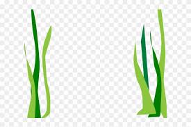 Drawn Grass Free Cartoon Transparent Seaweed Background Hd Png Download 640x480 6283789 Pngfind Download 150+ royalty free seaweed border vector images. drawn grass free cartoon transparent
