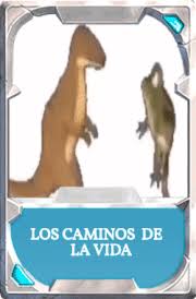 We did not find results for: Enrique54200 Streamloots Interactua En Mi Directo