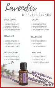 Tumblr Lavender Essential Oil Uses Lavender Oil Benefits Vetiver Essential Oil Uses