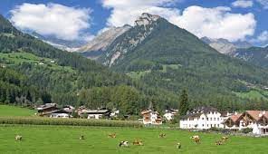 #corn #mais #ahrntal maisernte 2020 corn harvest. Ahrntal Pustertal Sudtirol Und Osttirol
