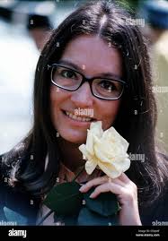 Rose nana hi-res stock photography and images