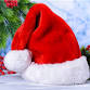 A Gilded Age Christmas with Santa!