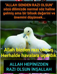 Adem Alan Adli Kullanicinin Guzel Sozler Panosundaki Pin Guzel Soz Ozlu Sozler Allah