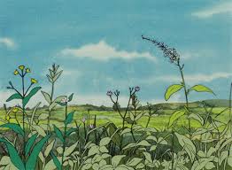 Takashi murakami (村上 隆, murakami takashi, born february 1, 1962) is a japanese contemporary artist. Flower Field On Tumblr