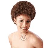 Janet Collection 100% Human Hair Weave