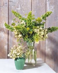 17 St Patrick S Day Crafts And Decorations Hydrangea Arrangements Flower Arrangements Spring Flower Arrangements