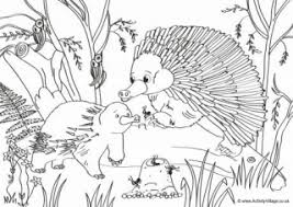 Explore the 39+ collection of australian animals colouring pages images at getdrawings. Australian Animal Colouring Pages