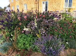 They also have a garden centre where you can pick up expert gardening tips and everything you need for the garden and allotment. About Bloomin Amazing
