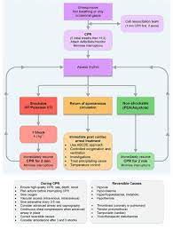 Advanced paediatric life support is the internationally renowned manual on emergency paediatric care, written to support the course run by the advanced life support group. Ukrc 2015a 2015b Paediatric Basic Life Support Left And Paediatric Download Scientific Diagram