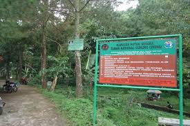 Hutan desa setianegara merupakan spot yang tepat buat kamu yang ingin menyepi. Warga Ingin Akses Terbatas Ke Taman Nasional Gunung Ciremai Mongabay Co Id