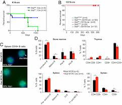 The names have slipped in popularity since then, and are currently of sporadic use. Widespread Organ Tolerance To Xist Loss And X Reactivation Except Under Chronic Stress In The Gut Pnas