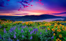 Beautiful, free images and photos that you can download and use for any project. Free Photo Beautiful Scenery Graphics Green House Free Download Jooinn