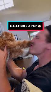 Brandon Gallagher Account