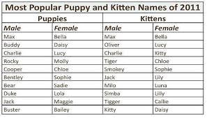 Black and white cats look absolutely adorable. Good Names For Black And White Male Cats