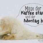 Kalter Po Trotzdem Froh Lustiger Eisbar Spruch