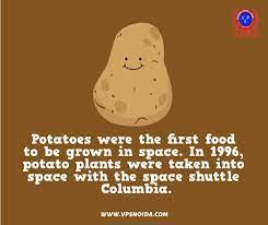 Great Veggie Bites - Friday Food Fun Fact The Potato Became the First  Vegetable Grown in Space with Help from Wisconsin. ANTIGO, WI - Back in  1995, the University of Wisconsin-Madison and