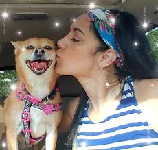 Coping with the Emotional Pain of Dementia