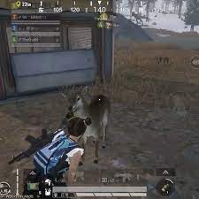 Pubg Cute Deer Video In 2021 Playstation Ps3 Games Video Games By Devices Playstation 4 Ps4