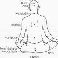This Kriya Should Be Done Immediately After Vipareeta Karani Mudra The Sanskrit Word Chakra Means Psychic Centre And Anusandhana Chakra Kriya Sanskrit Words