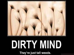 images?q=tbn:ANd9GcTQBZS7SEzn-6ROEi-uo1cO2iy-vgiQKW1O-g&usqp=CAU