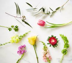 Check spelling or type a new query. Start With Supermarket Flowers Flower Magazine