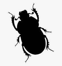 Halloween pumpkin black and white clipart. Beetlejuice Beetle Silhouette Shower Curtain 611x805 Png Download Pngkit
