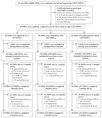 ijerph free full text results of a cluster randomized