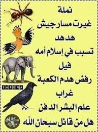 Pin By Faiza Shahid On وصايا Words Of Wisdom Words Sermon