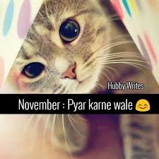 Pin By Fifi On Meow S Calendar Cat Calendar Cat Lovers Fun