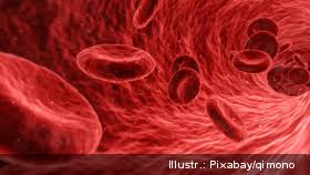 Sickle cell anemia) ist eine erbliche erkrankung der roten blutkörperchen (erythrozyten). Laborjournal Online Zwei Wege Fuhren Zum Ziel