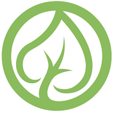 Elite tree service is a certified and professional tree service in phoenix, az. Phoenix Tree Care Home Facebook