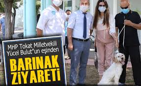 Daye Bulut Barinak Ziyaretinden Bir De Kopek Sahiplendi Tokat Haber