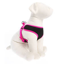 Top Paw Mesh Dog Harness Dog Harnesses Petsmart Dog